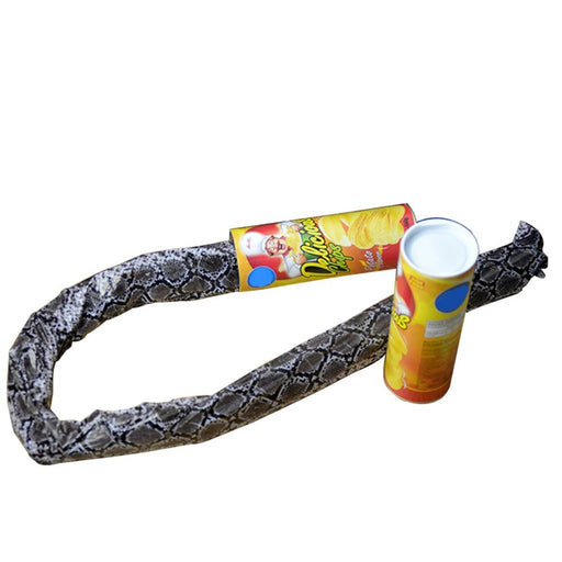 Potato Chip Snake In A Can